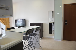 Palmera East (D14), Apartment #191760392